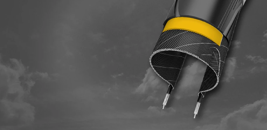 Schwalbe Rapid Rob White Stripes 2 Schwalbe Rapid Rob White Stripes - Image 2