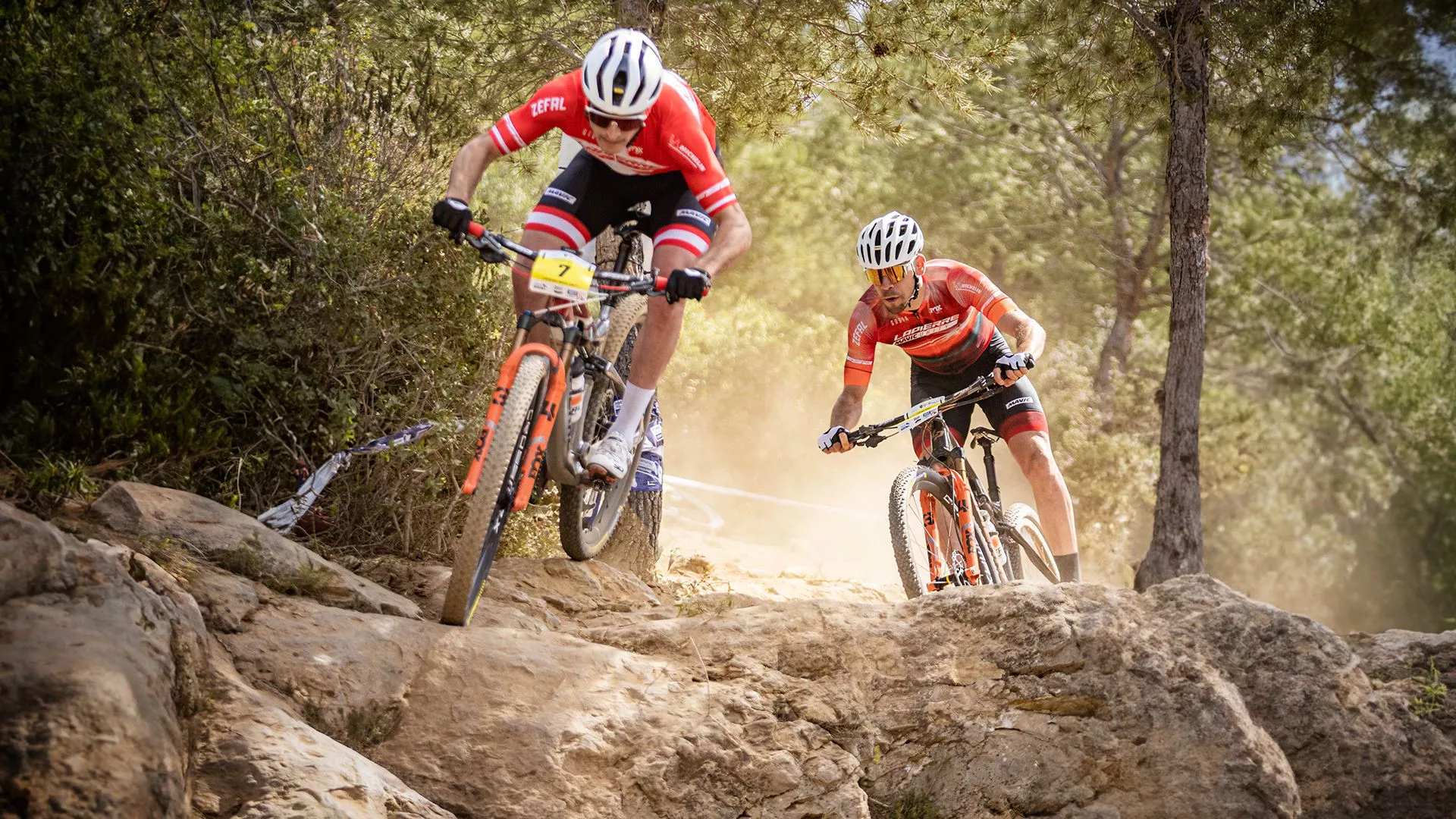 Bike Parts Central -Bike Parts Central mal0p0kz8uzyq5y8vk3e8mli 250228 bike mtb