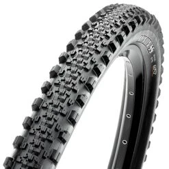 Maxxis Minion SS EXO TR
