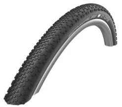 Schwalbe G-One Bite Evolution MicroSkin