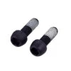 Sram Mounting Bolts M6 X 18 Mm (2 Pcs)