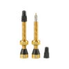 Tubolight Valves Pair Gold